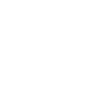 LinkedIn Icon